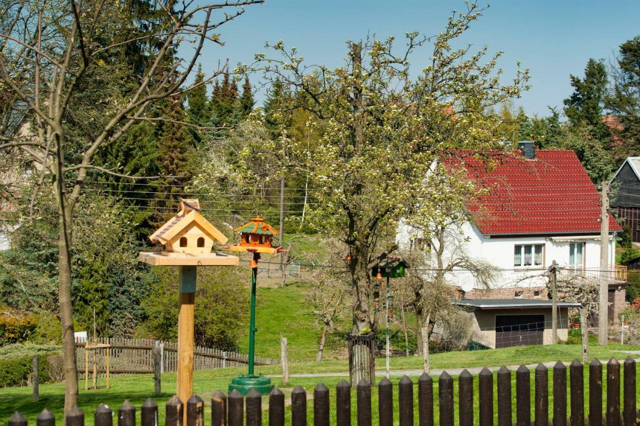 Dreiseitenhof Ferienwohnung Kuenzel Tharandt Dış mekan fotoğraf